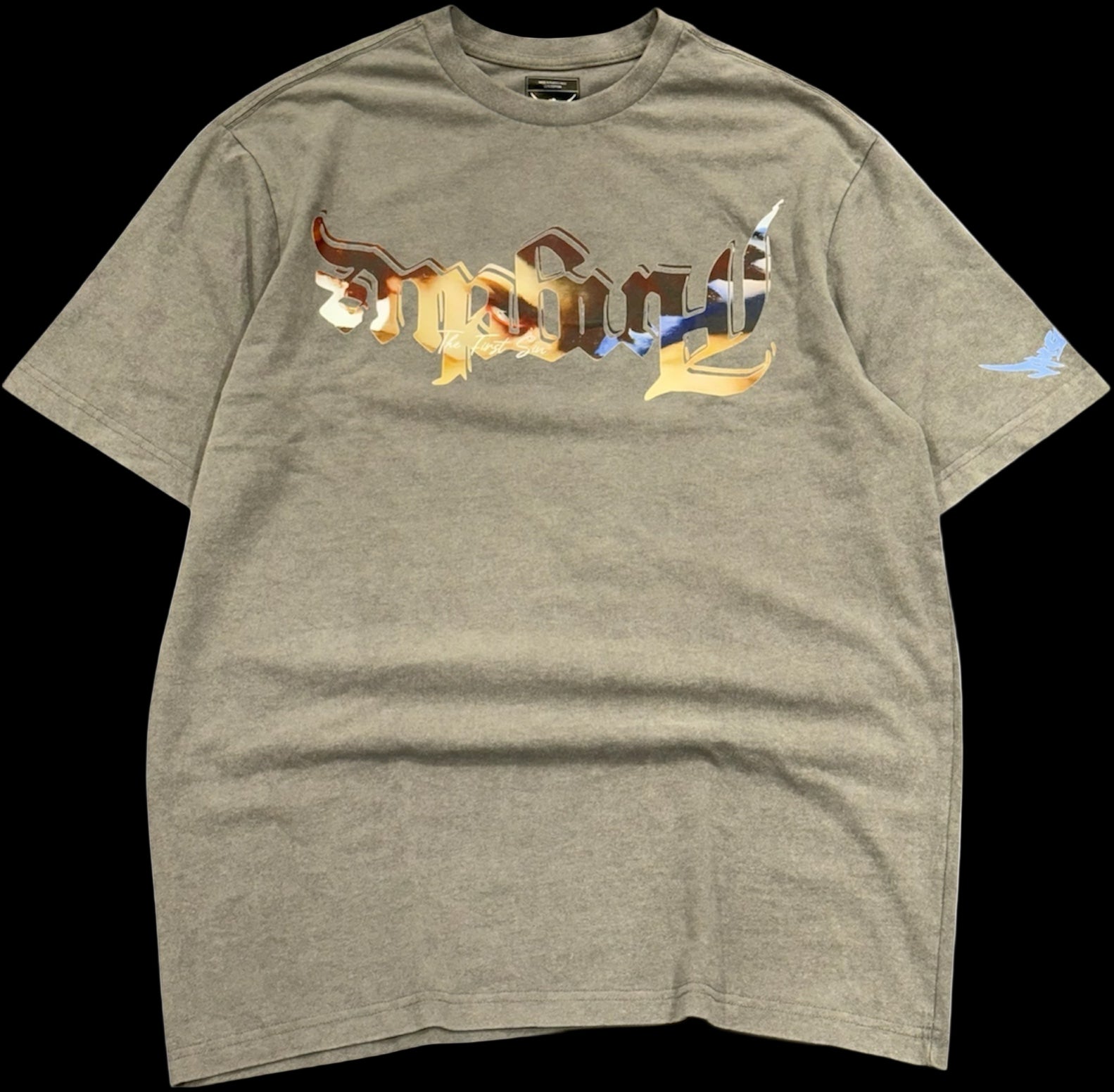 First Sin Oversize T-Shirt